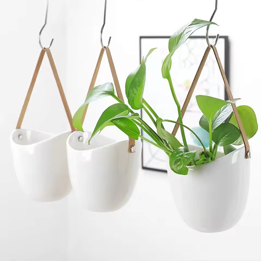 White Hanging Planter Pot with - Aloe Vera Pot ulasan dan harga