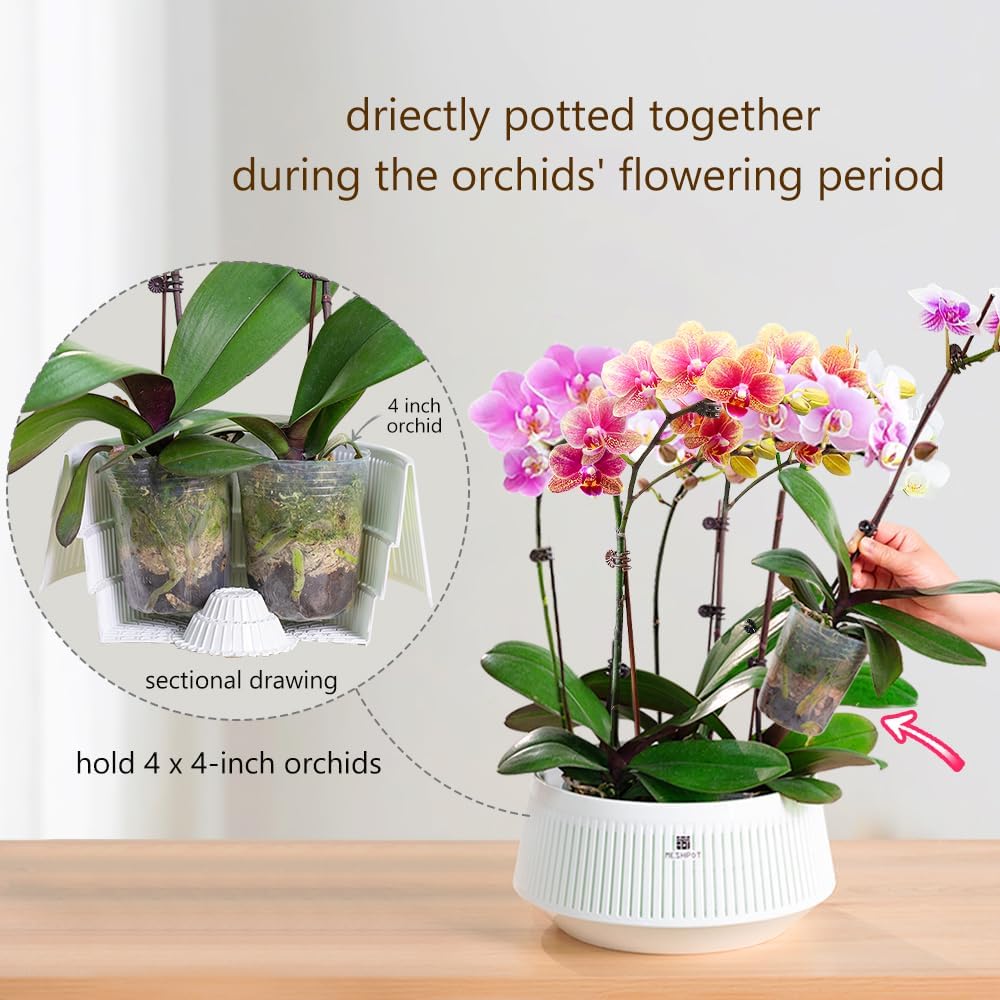 Meshpot Orchid Pot with Holes  - Aloe Vera Pot ulasan dan harga