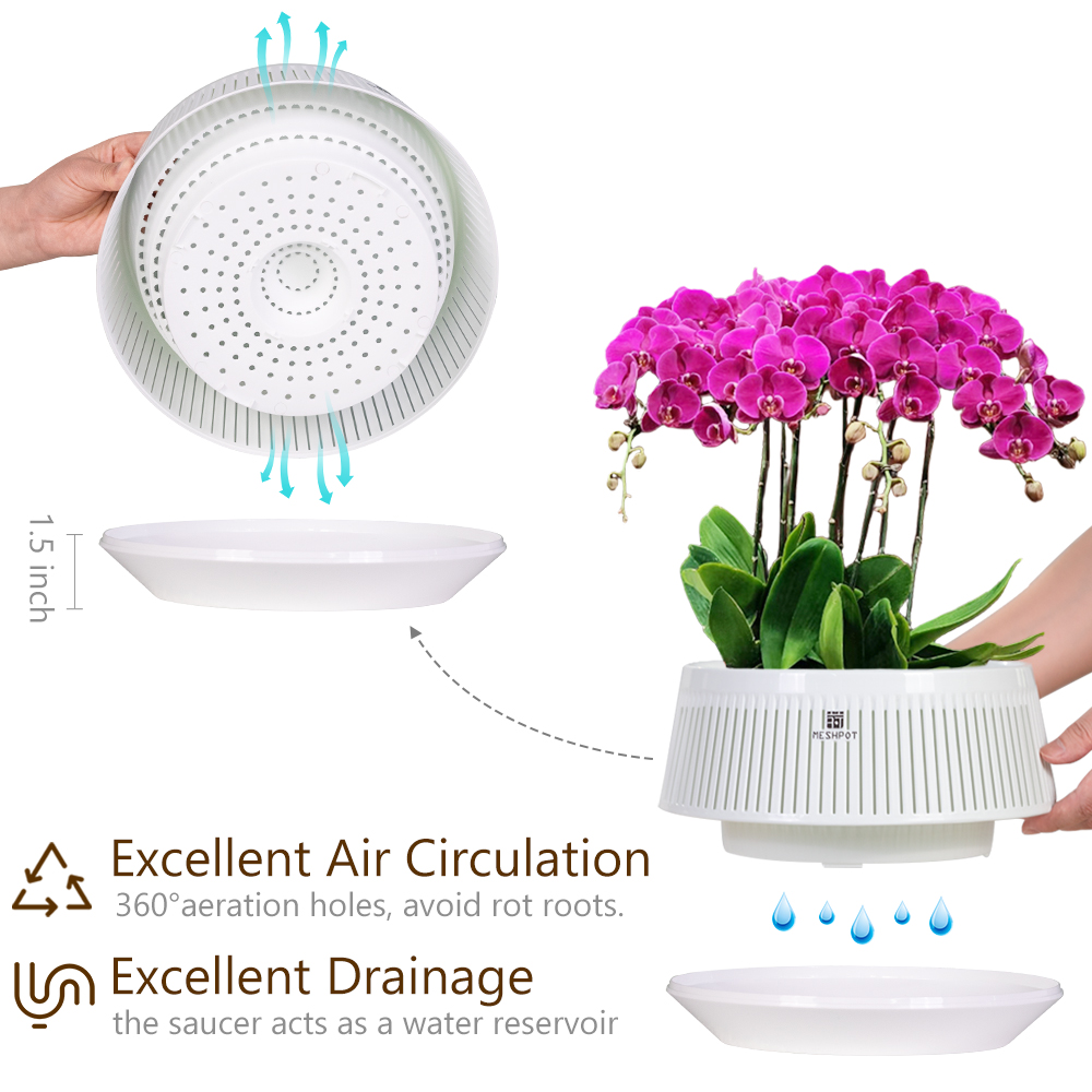 Meshpot Orchid Pot with Holes  - Aloe Vera Pot ulasan dan harga