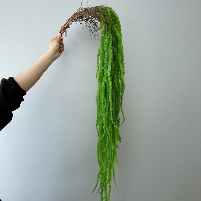 Artificial Willow Beard Versat - Monstera Adansonii ulasan dan harga