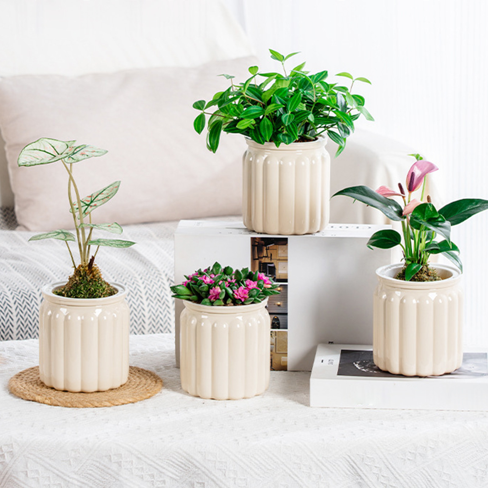 Lazy Hydroponic Flower Pot Aut - Aloe Vera Pot ulasan dan harga