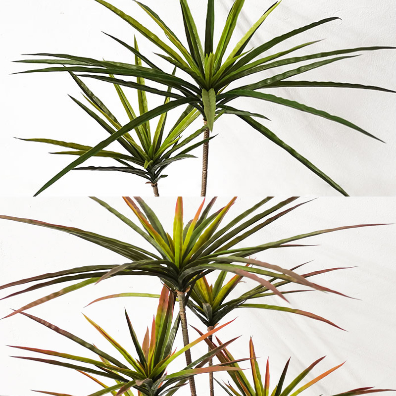 90-120cm Large Artificial Drac - Dracaena Marginata ulasan dan harga
