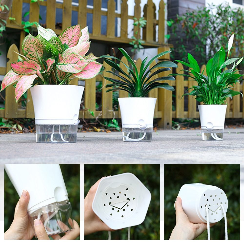 Transparent Double Layer Plast - Aloe Vera Pot ulasan dan harga