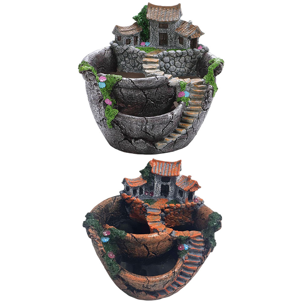 Succulent Pot Vintage Multi Po - Echeveria Succulent ulasan dan harga