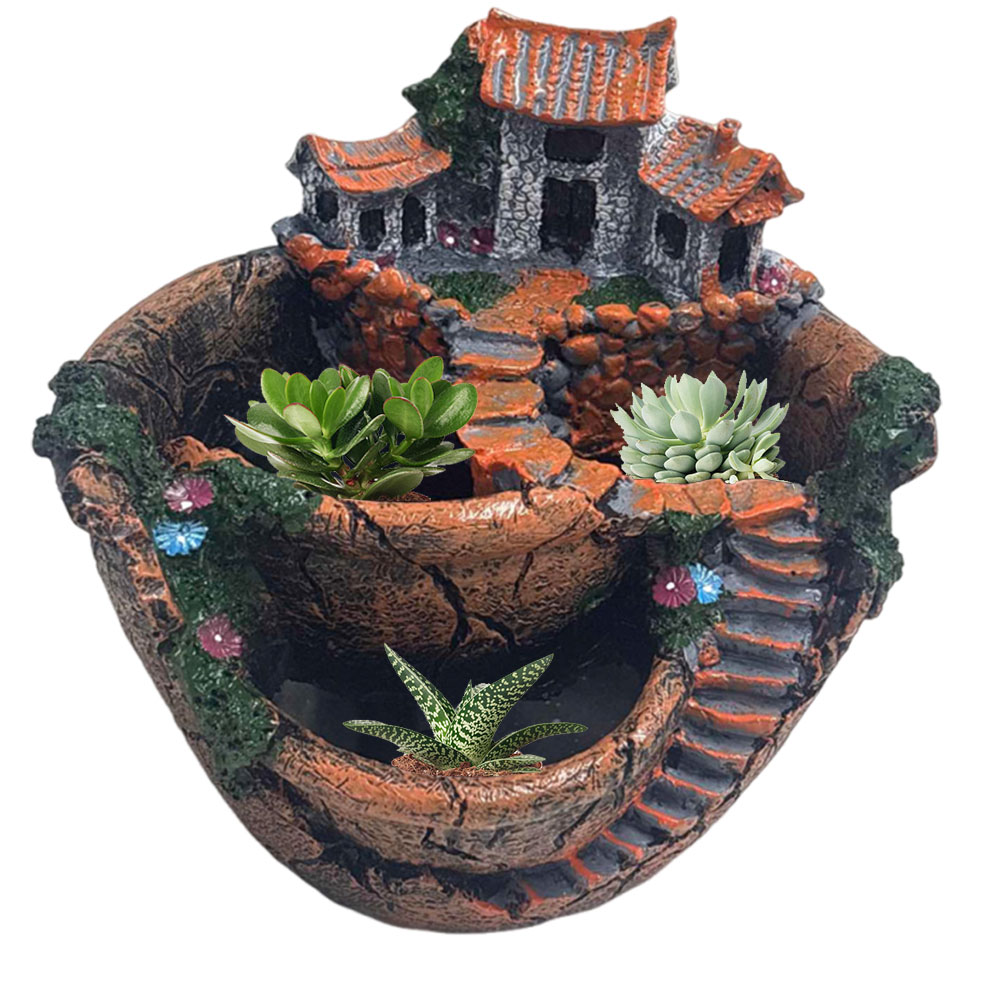 Succulent Pot Vintage Multi Po - Echeveria Succulent ulasan dan harga