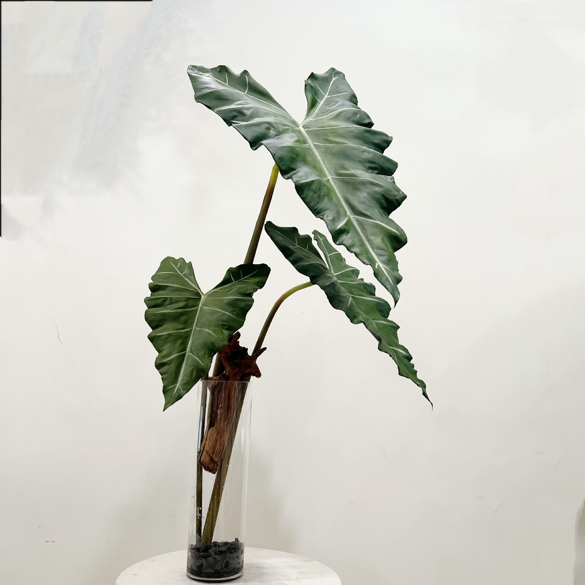 Simulated Long PU Hand-feel Gr - Monstera Adansonii ulasan dan harga