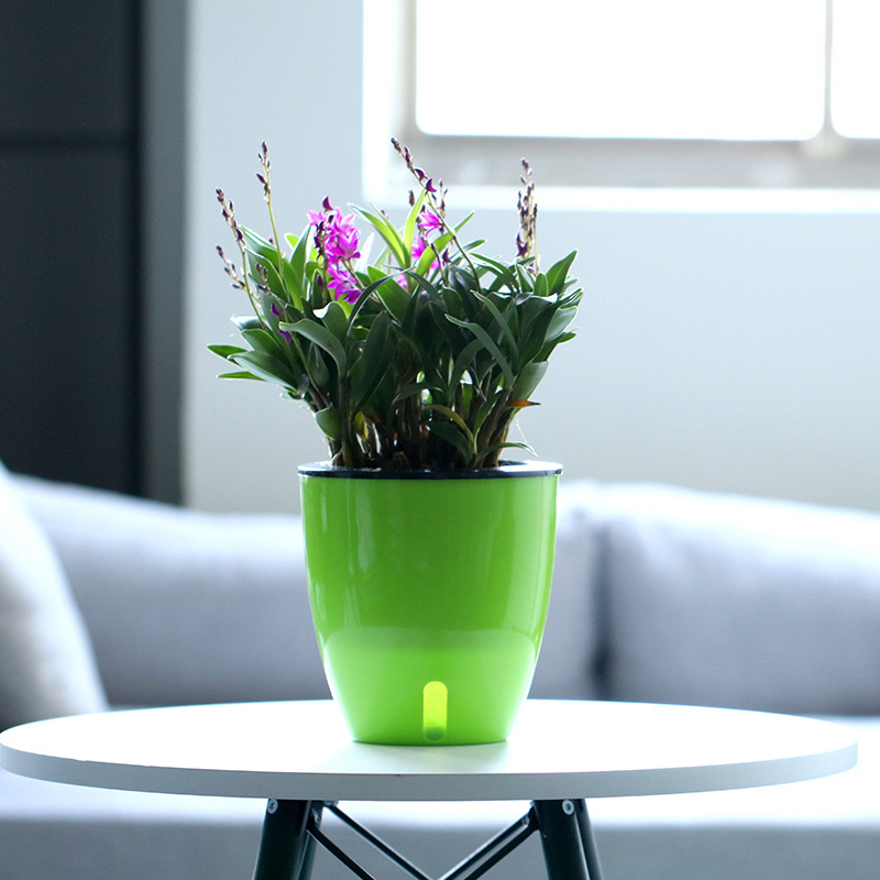 Lazy Flower Pot Water Plant Fl - Aloe Vera Pot ulasan dan harga