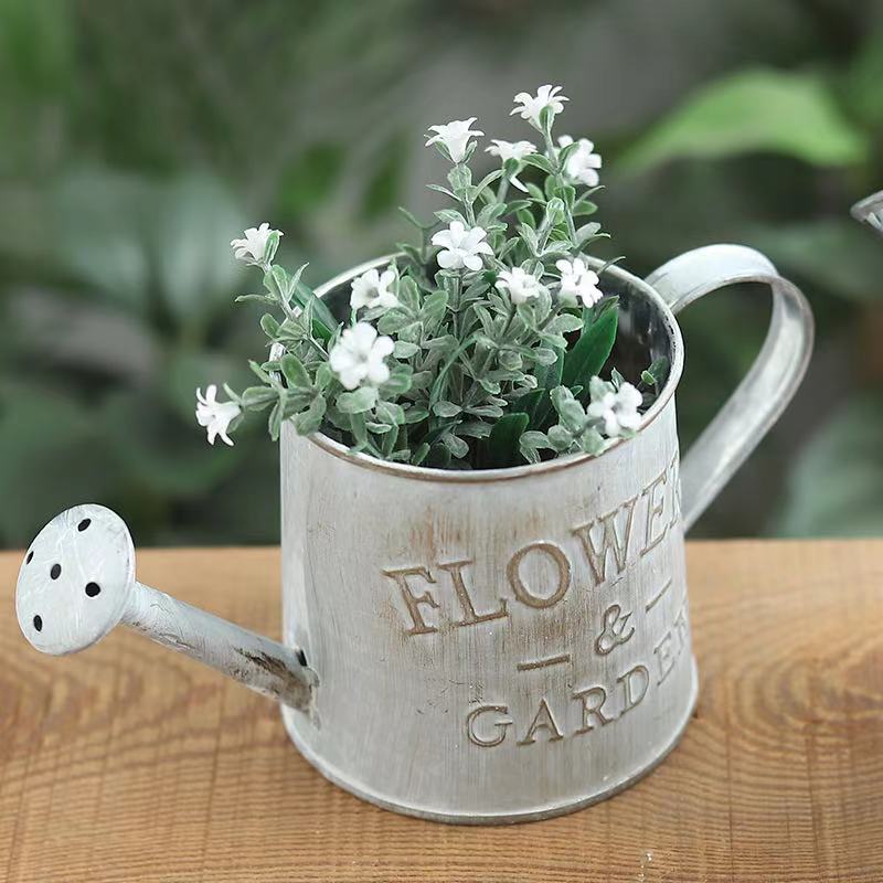 Barrels Garden Decoration Tin  - Aloe Vera Pot ulasan dan harga