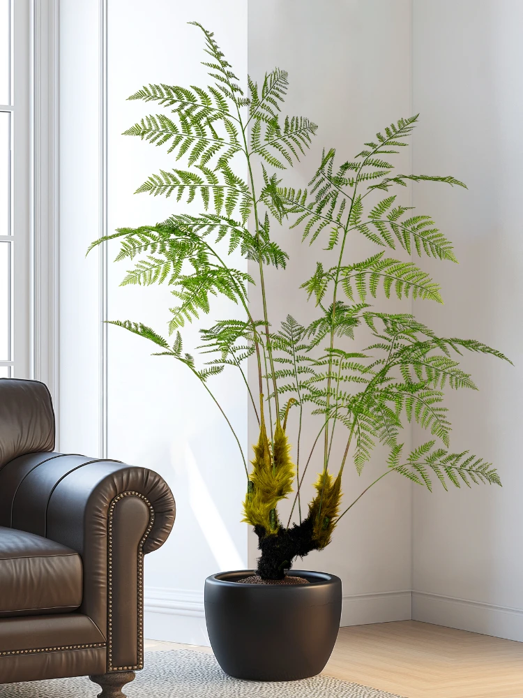 Large Simulated Golden Monkey  - Dracaena Marginata ulasan dan harga