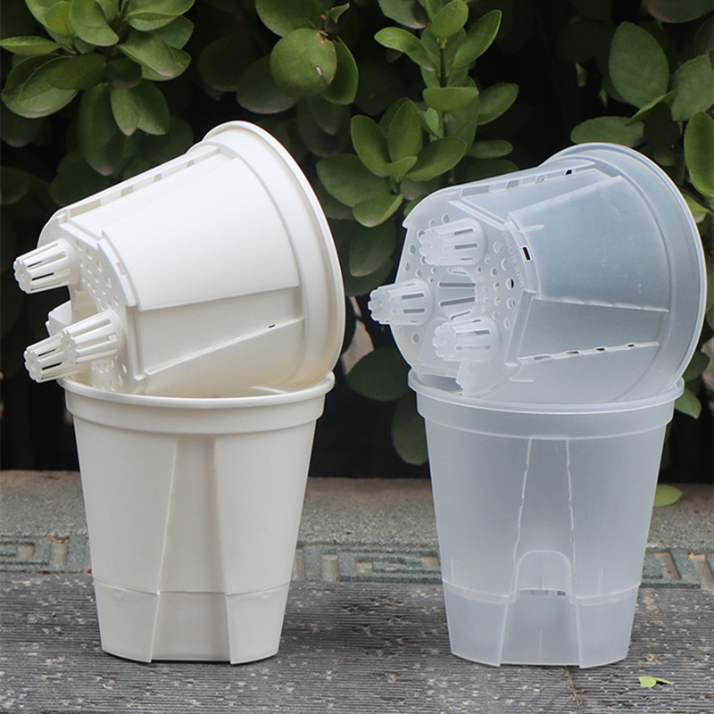 5pcs Transparent Orchid Pot wi - Aloe Vera Pot ulasan dan harga